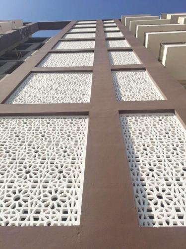 grc screen designs in udaipur (3)